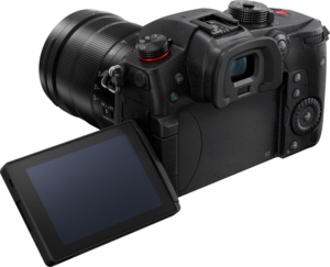 800q-04_116688 Panasonic Lumix GH5 II + 12-60mm f/3.5-5.6