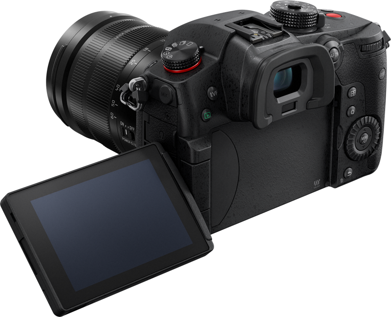 800q-04_116688 Panasonic Lumix GH5 II + 12-60mm f/3.5-5.6