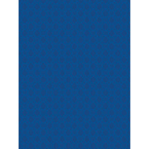 1416824371_360 Westcott X Drop Harmony Modern Vintage Backdrop -taustakuvassa on sininen tausta, jossa on hienovarainen, toistuva geometrinen kuvio ja tyylikäs rakenne, joka on viimeistelty valkoisilla reunuksilla hienostuneen ilmeen aikaansaamiseksi.