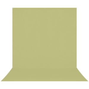 1674031461_939 The Westcott X Drop Pro Wrinkle-Resistant Backdrop in Moss Green Sweep (2.4 x 4 m) provides a seamless light olive green surface between the vertical and floor areas, perfect for photography, here against a white background.