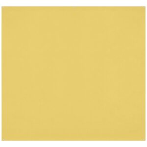 1674118739_640 The Westcott X Drop Pro Wrinkle-Resistant Backdrop in canary yellow (2,4 x 2,4 m) has a matt, square shape and has three small metal grommets at the top for easy hanging.