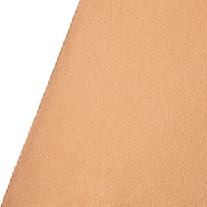 Westcott X Drop Wrinkle Resistant Backdrop - Brown Sugar Sweep (152 x 366 cm)