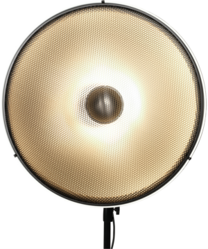 800q-01_129901 Nanlite Beauty Dish 70 cm, a large circular photographic lamp with a textured gold reflector on a black base, shines brightly towards the camera against a white background.