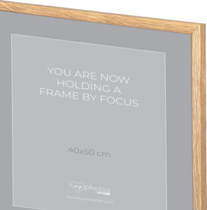 800q-02_120959 Focus Rock Oak veneer 20X25
