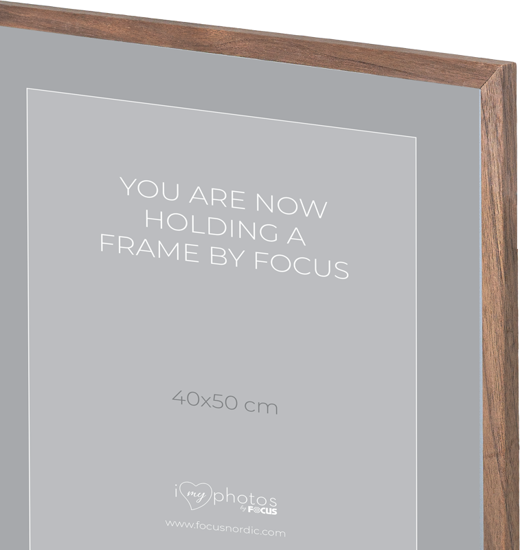 800q-02_120974 Focus Rock Walnut Veneer 15x21