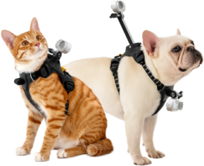 Insta360 Pet Harness Mount Size S -lemmikkivaljaat, joissa on pienet kamerat kiinnitettyinä, istuvat vierekkäin valkoista taustaa vasten.