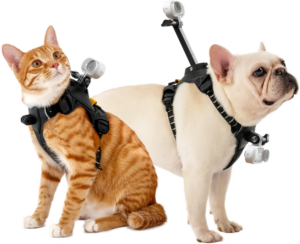 800q-01_133925 Insta360 Pet Harness Mount Size S -lemmikkivaljaat, joissa on pienet kamerat kiinnitettyinä, istuvat vierekkäin valkoista taustaa vasten.
