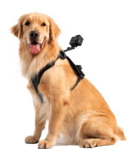 800q-03_133859 Insta360 Pet Harness Mount Size L -lemmikkivaljaat