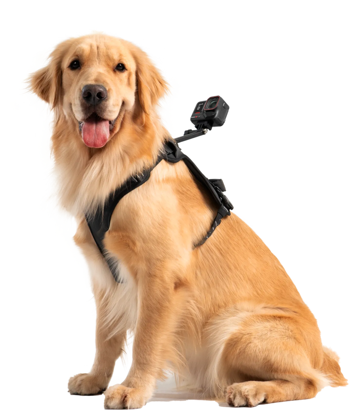 800q-03_133859 Insta360 Pet Harness Mount Size L -lemmikkivaljaat