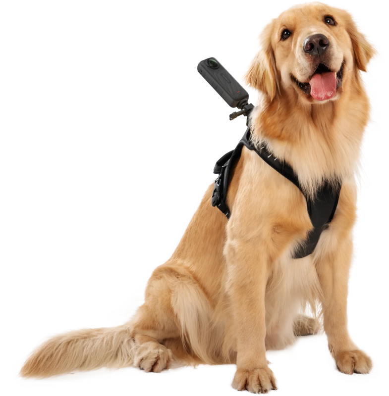 800q-04_133859 Insta360 Pet Harness Mount Size L -lemmikkivaljaat