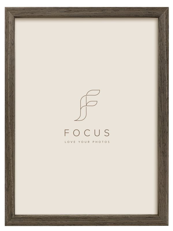 800q-01_132488 Focus Willow Walnut 10x15 -kehys