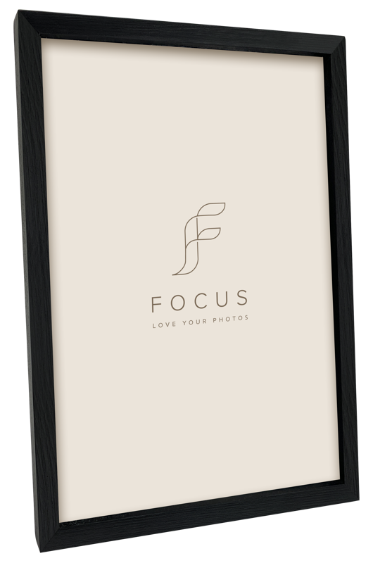 800q-02_132449 Focus Willow Black 15x20 -kehys