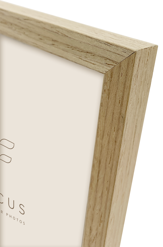 800q-03_132471 Focus Willow Oak 15x20 -kehys