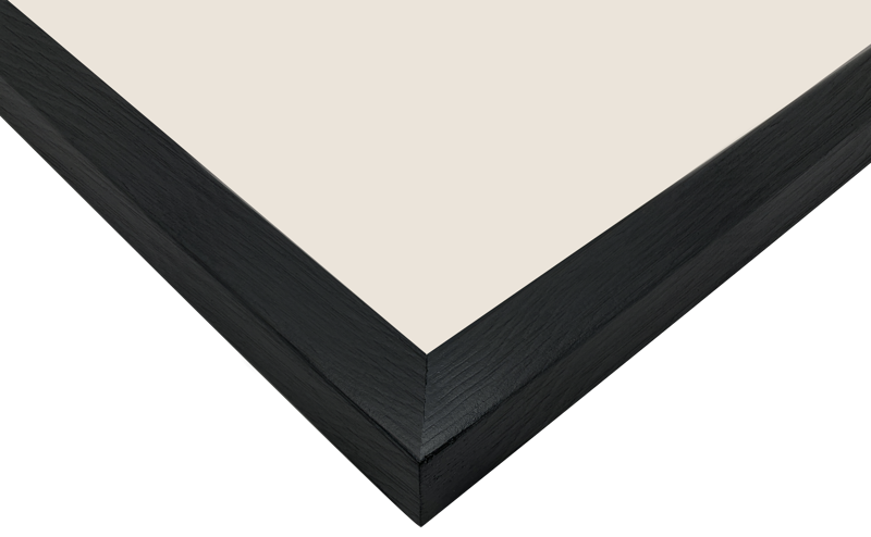 800q-04_132449 Focus Willow Black 15x20 -kehys