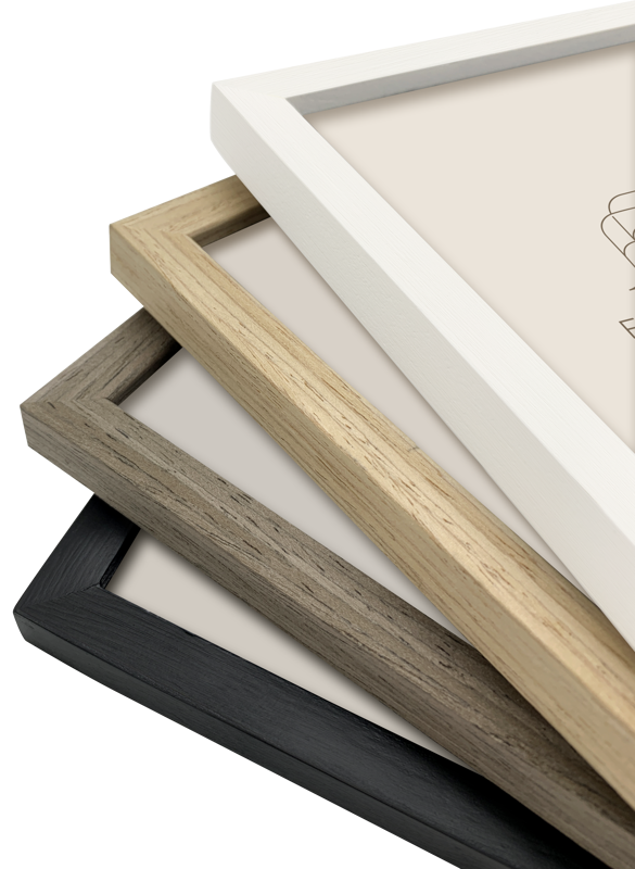 800q-05_132449 Focus Willow Black 15x20 -kehys
