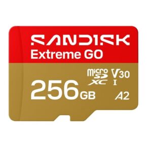 SANDISK Extreme GO microSDXC 256GB UHS-I