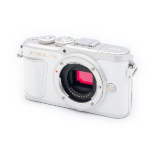 Olympus PEN E-PL9_1 Nikon Z6 - Used