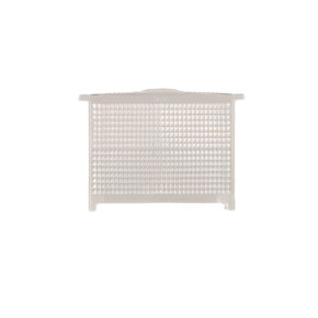 Godox V860II front acrylic glass