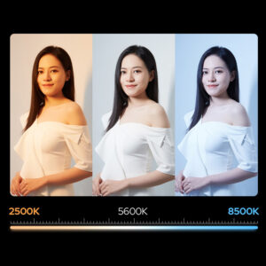 1715849928_882 Godox LC1000 Bi-Color -LED-valosauva