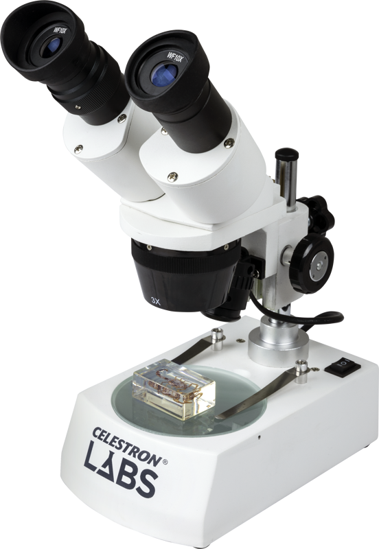 800q-01_115284 Celestron Labs S10-60 -stereomikroskooppi