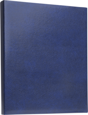 Focus Prestige Ringbinder sininen -rengaskansioalbumi