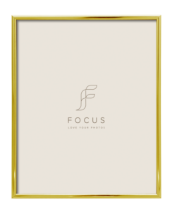 Focus Lily kulta 50x70 -taulukehys