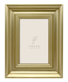 Focus Lotus kulta 50x70 -taulukehys