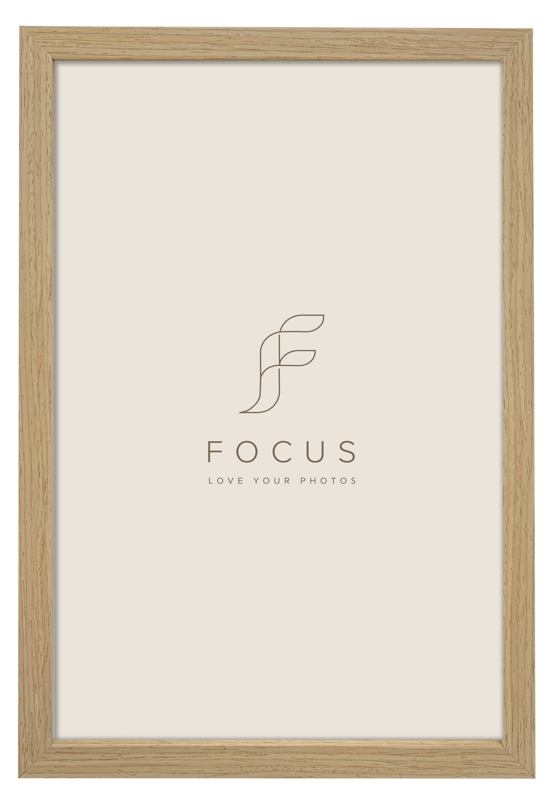 800q-01_132547 Focus Grace tammi 40x60 -taulukehys