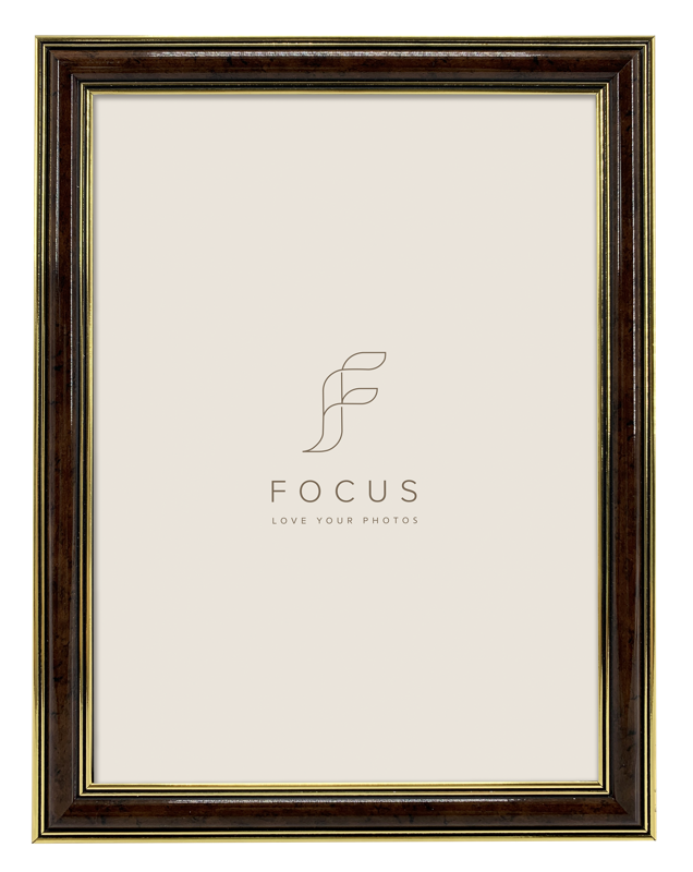 800q-01_132618 Focus Holly Light Root 10x13 -valokuvakehys
