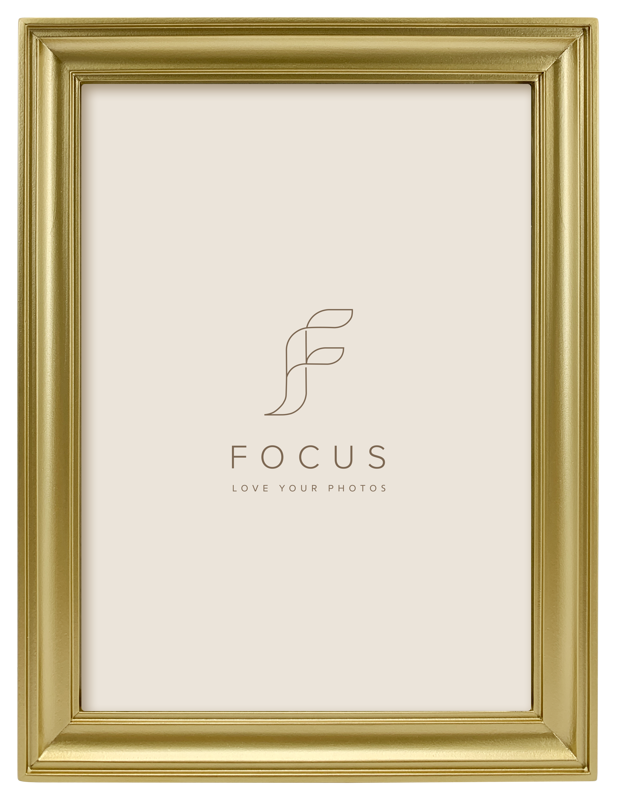 800q-01_132969 Focus Calla kulta 40x50 -taulukehys