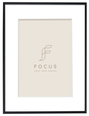 800q-01_133015 Focus Aster musta 40x50/PP 30x40 -taulukehys
