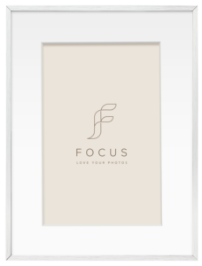 800q-01_133021 Focus Aster hopea 30x40/PP 20x30 -taulukehys