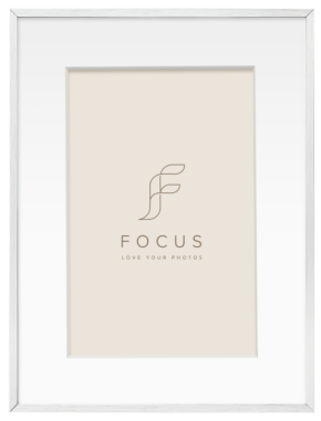 800q-01_133021 Focus Aster hopea 40x50/PP 30x40 -taulukehys