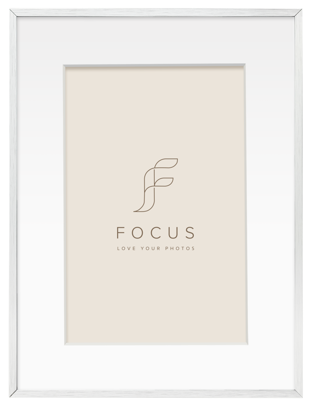 800q-01_133021 Focus Aster hopea 30x40/PP 20x30 -taulukehys