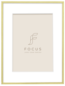 800q-01_133027 Focus Aster kulta 30x40/PP 20x30 -taulukehys