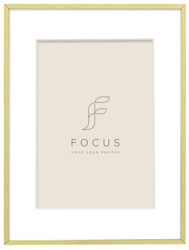 800q-01_133027 Focus Aster kulta 30x40/PP 20x30 -taulukehys