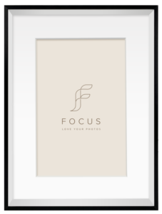 800q-01_133314 Focus Aster musta 30x40/PP 20x30 -taulukehys