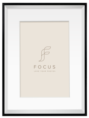 800q-01_133314 Focus Aster musta 40x50/PP 30x40 -taulukehys