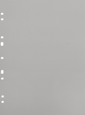 800q-01_134078 Focus Ringbinder A4 harmaa 30 kpl -kartonkitäyttösivut
