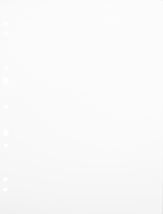 800q-01_134079 Focus Ringbinder A4 valkoinen 30 kpl -kartonkitäyttösivut