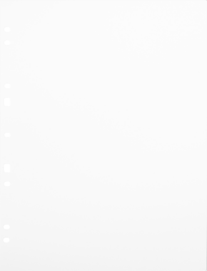 800q-01_134079 Focus Ringbinder A4 valkoinen 30 kpl -kartonkitäyttösivut