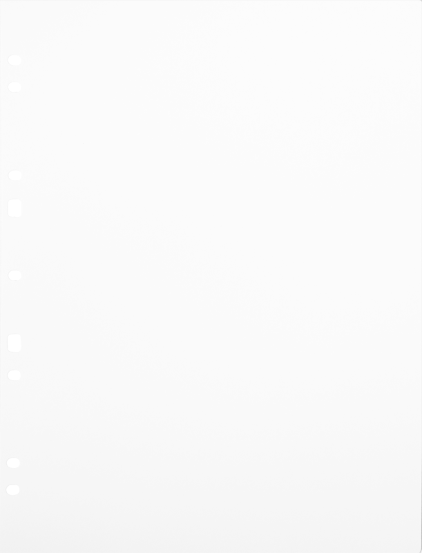800q-01_134079 Focus Ringbinder A4 valkoinen 30 kpl -kartonkitäyttösivut
