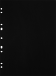 Focus Ringbinder musta A4 30 kpl -kartonkitäyttösivut