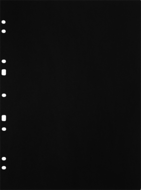 800q-01_134080 Focus Ringbinder musta A4 30 kpl -kartonkitäyttösivut