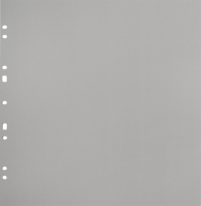 800q-01_134081 Focus Ringbinder Gigant harmaa 10 kpl -kartonkitäyttösivut