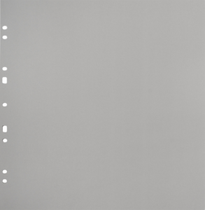 800q-01_134081 Focus Ringbinder Gigant harmaa 10 kpl -kartonkitäyttösivut