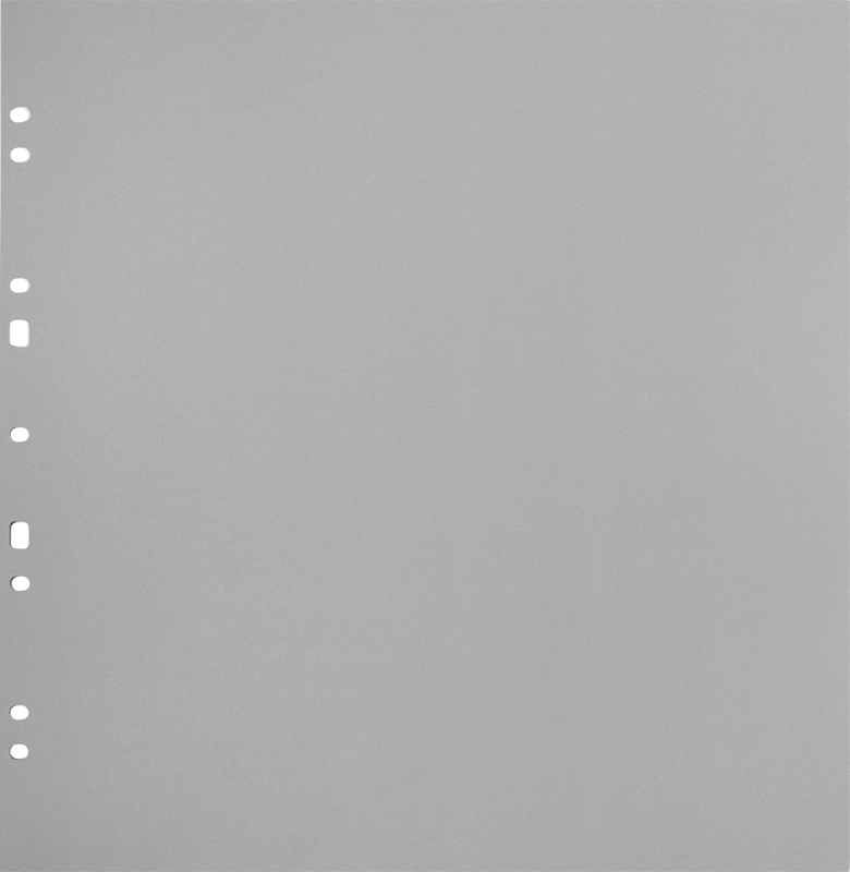 800q-01_134081 Focus Ringbinder Gigant harmaa 10 kpl -kartonkitäyttösivut