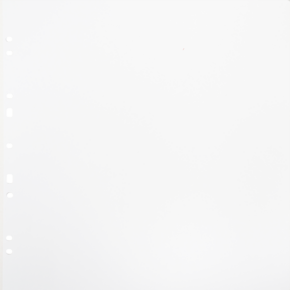 800q-01_134082 Focus Ringbinder Gigant valkoinen 10 kpl -täyttöarkit
