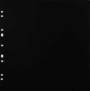 800q-01_134083 Focus Ringbinder Gigant musta 10 kpl -kartonkitäyttösivut