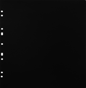 800q-01_134083 Focus Ringbinder Gigant musta 10 kpl -kartonkitäyttösivut